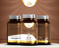 Load image into Gallery viewer, L1fe Nutrition Lactobacillus Plantarum 5 Billion CFU Probiotic Vegan Capsules
