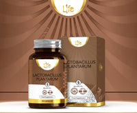 Load image into Gallery viewer, L1fe Nutrition Lactobacillus Plantarum 5 Billion CFU Probiotic Vegan Capsules
